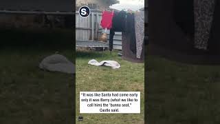 Playful Seal Bounces on Trampoline [upl. by Heddi]