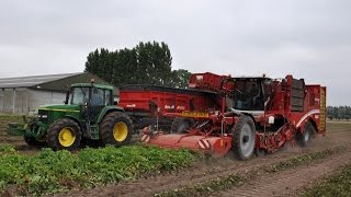 Grimme Varitron 470  Loonbedrijf Van Hal  aardappelen rooien [upl. by Idnic]