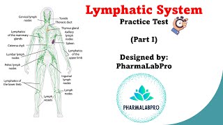 Lymphatic System Quiz  Anatomy amp Physiology Review  Part I [upl. by Linnet]