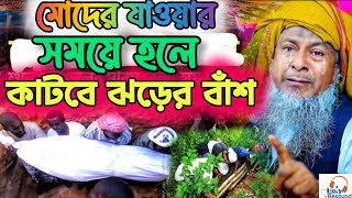 মোদের যাওয়ার সময় হলে কাটবে ঝাড়ের বাঁশ  Joynal Abedin  মাওলানা জয়নাল আবেদীন waz gojol [upl. by Carnahan]