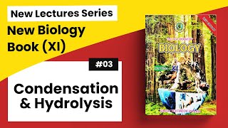 Biology of Condensation amp Hydrolysis [upl. by Ahsienor830]