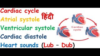 cardiac cycle in hindi  atrial systole  ventricular systole  complete diastole [upl. by Darb394]