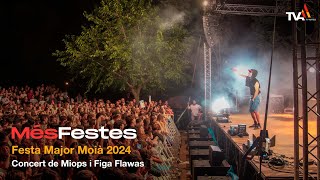 MésFestes  FM Moià 2024  Miops i Figa Flawas  TV Artés [upl. by Aynatan]