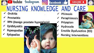 MALE REPRODUCTIVE SYSTEM DISORDERS orchitis nursingepididymitis phimosis prostatitis [upl. by Karyl]