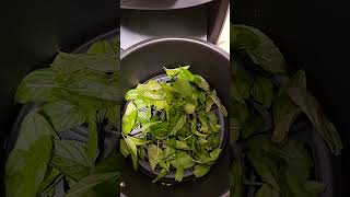 Mint Leaves Dehydrate Ninja Air Fryer [upl. by Frederic]