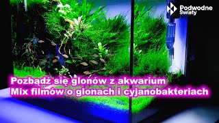 Pozbądź się glonów Mix filmów o glonach [upl. by Drawets]