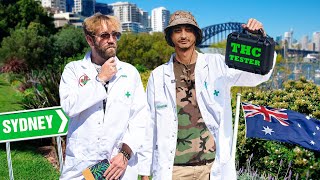 How Strong Is Sydneys Bud  Testing How Chronic Australia [upl. by Tarazi]