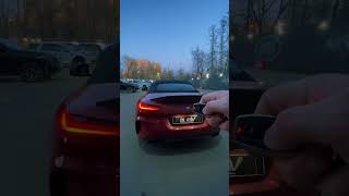 ТЮНИНГ ЗВУКА BMW Z4 M40i [upl. by Yensehc]