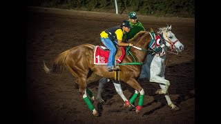 𝗥𝘂𝗶𝗱𝗼𝘀𝗼 𝗗𝗼𝘄𝗻𝘀 🇺🇸🐎🏆🐎🇺🇸 𝗖𝗮𝗿𝗿𝗲𝗿𝗮 𝟭𝟬RUIDOSO FUTURITY G1 [upl. by Haimarej]