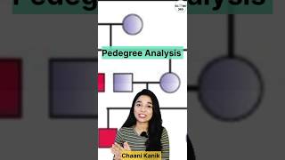 Pedigree analysis tricks  Pedigree analysis questions  Principles of inheritance and variation [upl. by Ennaeerb]