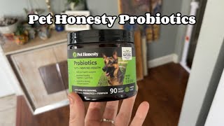 A Look Into Pet Honesty Probiotic Chews for Dogs [upl. by Collin624]