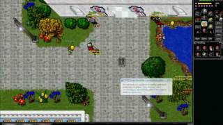 Pokemon Online Tibia OTS [upl. by Esertap]