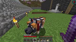 Dog Whimpering sound what does it mean   Minecraft 121 [upl. by Adnahsal]