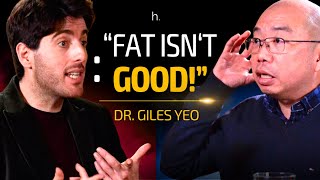 Youve Been LIED to About Body Positivity  Weight Loss Expert Dr Giles Yeo 4K  heretics 34 [upl. by Ailisab]