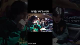 스트레이키즈한 필릭스 승민 아이엔 귀여운 거북이 스키즈 [upl. by Ardnek]