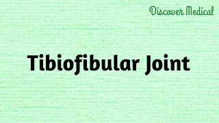 Tibiofibular Joint  joints [upl. by Llednor]