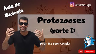 Protozooses parte I [upl. by Carder]