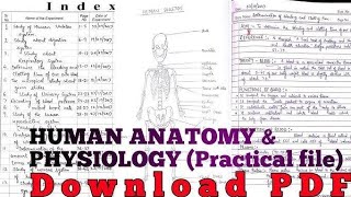 Practical File Of quotAnatomy amp physiologyquot Bsc Nursing 1st year [upl. by Domenech]