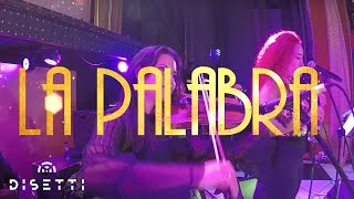 Orquesta La Palabra  Rumores El Mulato Cabaret  Salsa En Vivo [upl. by Haon25]