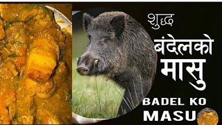 बदेलको मासु सजिलो तरिका । Badel Ko Masu  Boar Meat Curry  Pork dekhayeko chhunepalnepalifood [upl. by Uttica]