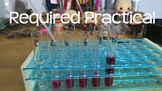 Alcohols effect on pigment leakage from beetroot  AQA Alevel Biology Required Practical Revision [upl. by Araes646]