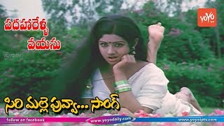 Sirimalle Puvva Video Song HD  Padaharella Vayasu Movie Songs  Sridevi  YOYO TV Music [upl. by Eeraj179]