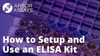 How to Setup and Use An ELISA Kit  Arbor Assays [upl. by Serg]