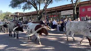 Stockyards Fort Worth Texas [upl. by Scornik]