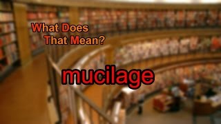 What does mucilage mean [upl. by Drof]