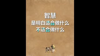 智慧是明白适合做什么，不适合做什么 [upl. by Eartnoed]