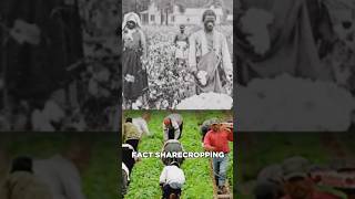 Remember what happened over 60 years ago Sharecropping ended Its the same as slavery [upl. by Assiren]