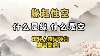 缘起性空 什么是缘，什么是空，年轻人越早领会，越早受益！破局思维 [upl. by Elyrrad292]