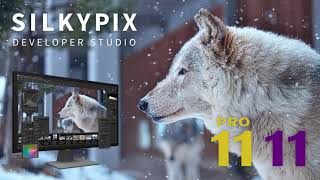 quotSILKYPIX Developer Studio Pro11quot promotion movie [upl. by Nissie]