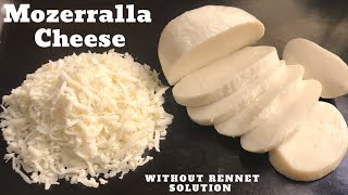 Mozzarella Cheese How To Made  Mozzarella At Home Simple amp Easy Method [upl. by Esinal]