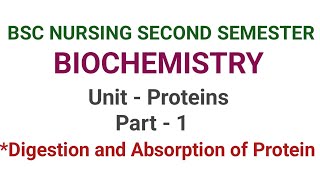 Proteins in Biochemistry BSC NURSING SECOND SEM [upl. by Jews416]