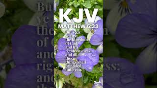 KJV Matthew 633 kjv scriptureoftheday quoteoftheday verseoftheday jesuschrist godsword god [upl. by Dalt610]