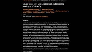 Singledose 1cpLSD administration for canine anxiety a pilot study [upl. by Coucher]