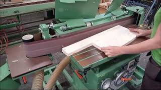 LANGZAUNER EK 34 Edge Sander [upl. by Susann769]