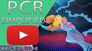 PCR  Polymerase Chain Reaction Simplified [upl. by Erolyat]