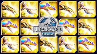 ALL MAX LEVEL 40 VIP PTEROSAURS UNLOCKED JURASSIC WORLD [upl. by Ellard]