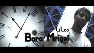 LiLoo  Bara Mrigel Official Music Video Prod by Methem [upl. by Cassandry453]