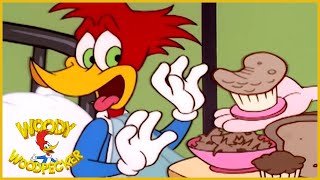 Woody Woodpecker  Hospital HiJinx  Woody Woodpecker Full Episode  Kids Cartoon  Videos for Kids [upl. by Riebling]