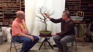 Development of Persian Parrotia with Arthur Joura  Part2 [upl. by Ever]