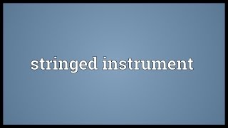 Stringed instrument Meaning [upl. by Birck]