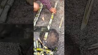 Effortless Sugarcane Cutting 🪓🍃 Best Tool for Farmers 🔥quotSugarcaneCutting BestFarmingTool [upl. by Sirovaj]