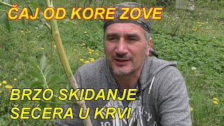 SKIDANJE ŠEĆERA U KRVI  ZOVA  BAZGA [upl. by Anivas]