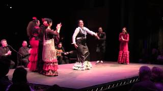 Flamenco Abierto  Bulerias [upl. by Irb]