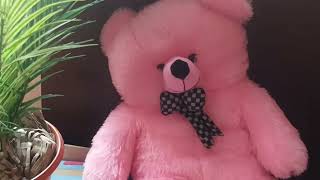 Flipkart Teddy 🧸Bear very Affordable Beautiful Flipkart Teddy bear🧸 [upl. by Llohcin475]