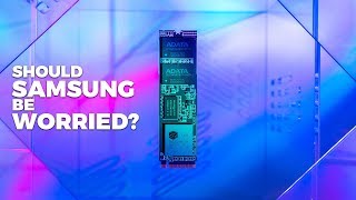 Should Samsung Be Worried  ADATA XPG SX8200 Pro Review [upl. by Matilde]