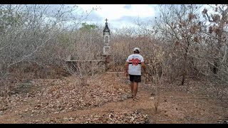 FAZENDA MORRO A ILHA MALASSOMBRADA [upl. by Atsuj23]